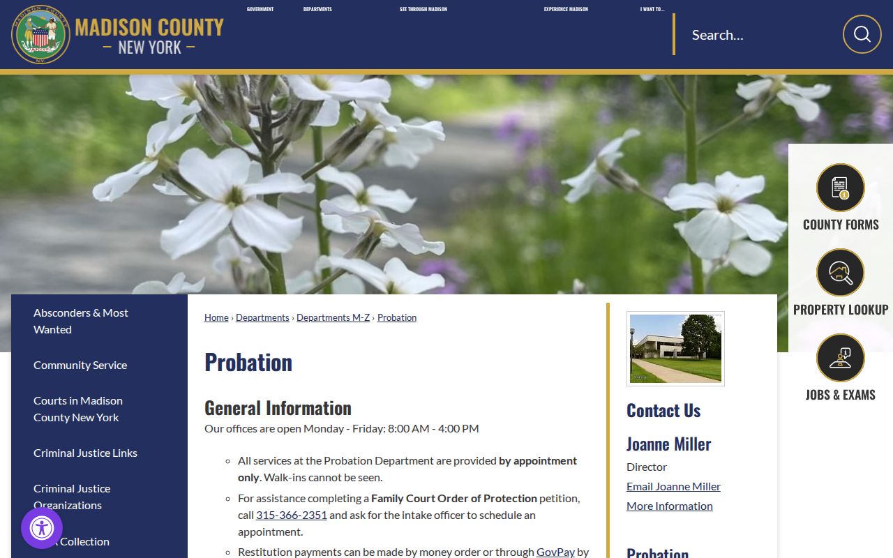 Madison County criminal record information from County Probation